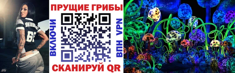 Купить закладки  Асбест  Псилоцибиновые грибы MAGIC MUSHROOMS 